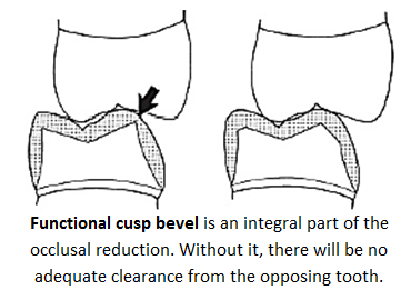 Image of functional cusp bevel integral