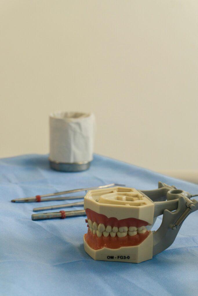 typodont with dental tools